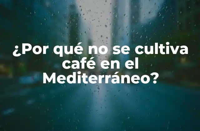 ¿por Qué No Se Cultiva Café en el Mediterráneo?