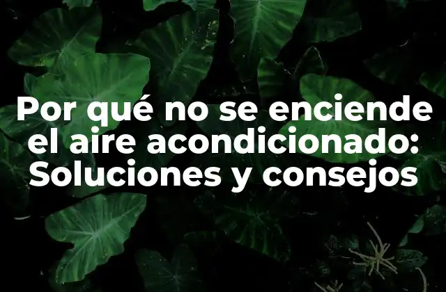 Por Qué No Se Enciende el Aire Acondicionado: Soluciones y Consejos