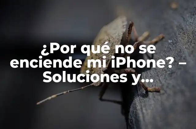 ¿por Qué No Se Enciende Mi Iphone? – Soluciones y Soluciones para Reparar Tu Iphone