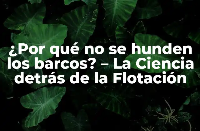 ¿por Qué No Se Hunden los Barcos? – la Ciencia Detrás de la Flotación