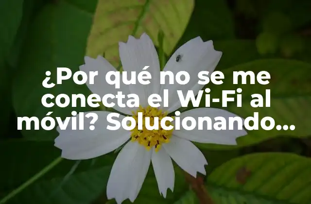 ¿por Qué No Se Me Conecta el Wi-fi Al Móvil? Solucionando Problemas de Conexión Wi-fi en Dispositivos Móviles.