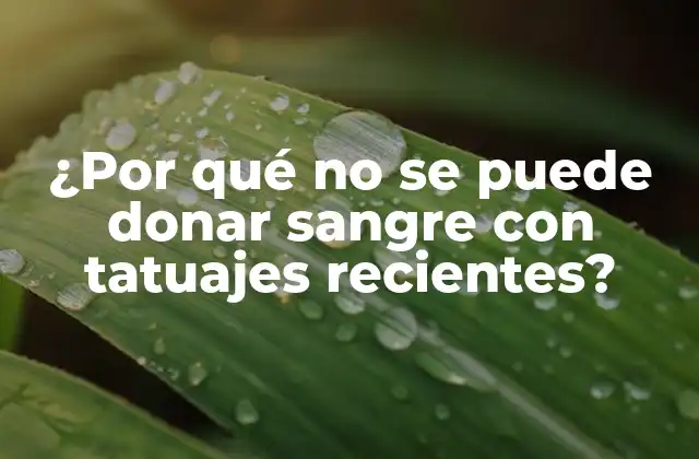 ¿por Qué No Se Puede Donar Sangre con Tatuajes Recientes?