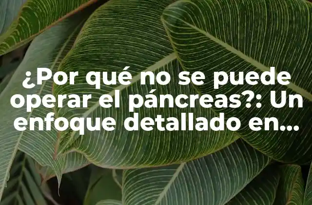 ¿por Qué No Se Puede Operar el Páncreas?: un Enfoque Detallado en la Cirugía Pancreática