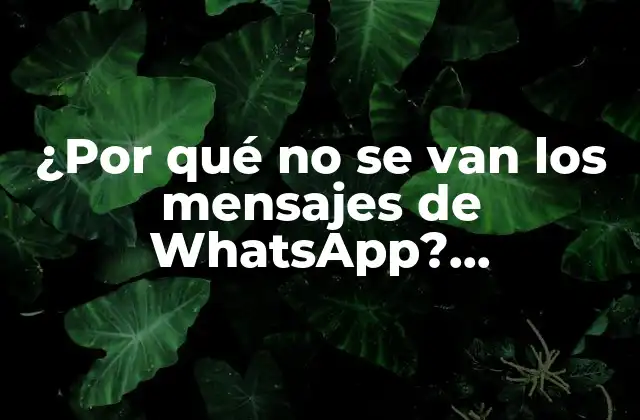 ¿por Qué No Se Van los Mensajes de Whatsapp? Solucionando el Problema