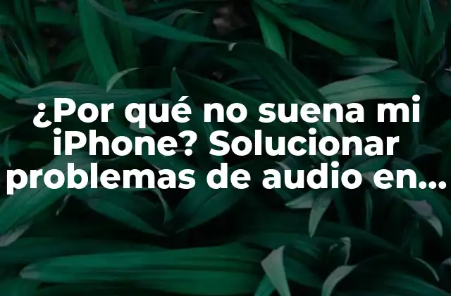 ¿por Qué No Suena Mi Iphone? Solucionar Problemas de Audio en Ios
