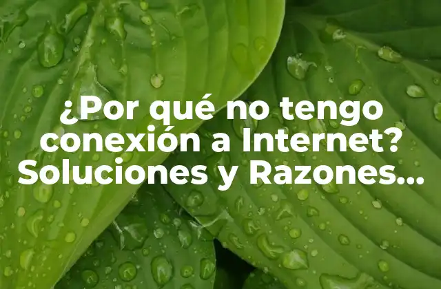 ¿por Qué No Tengo Conexión a Internet? Soluciones y Razones Comunes
