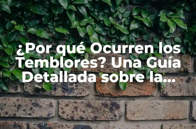 ¿por Qué Ocurren los Temblores? una Guía Detallada sobre la Ciencia Detrás de los Sismos