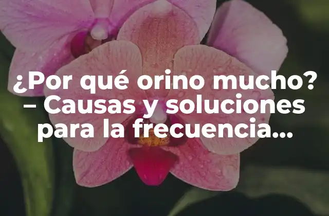 ¿por Qué Orino Mucho? – Causas y Soluciones para la Frecuencia Urinaria