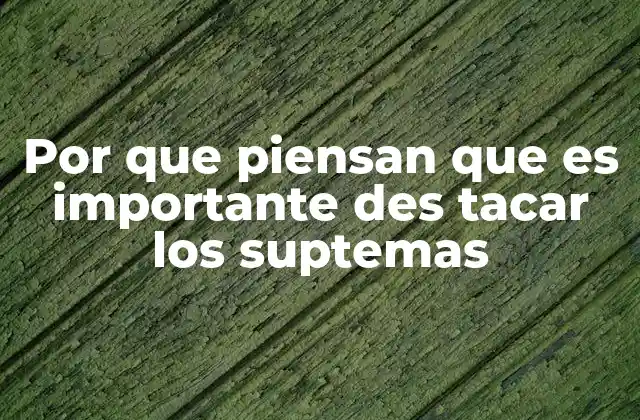 Por que Piensan que es Importante Des Tacar los Suptemas