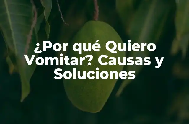 ¿por Qué Quiero Vomitar? Causas y Soluciones
