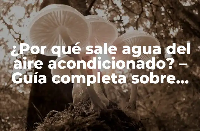 ¿por Qué Sale Agua Del Aire Acondicionado? – Guía Completa sobre Condensación y Mantenimiento