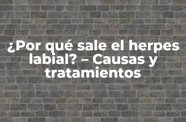 ¿por Qué Sale el Herpes Labial? – Causas y Tratamientos