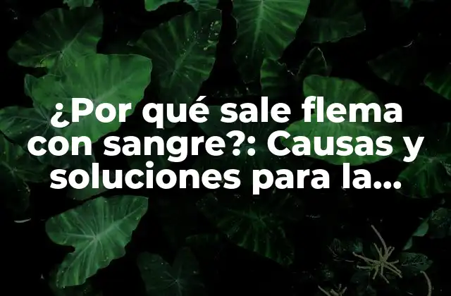 ¿por Qué Sale Flema con Sangre?: Causas y Soluciones para la Expectoración con Sangre