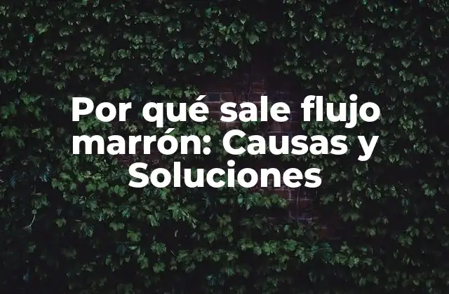 Por Qué Sale Flujo Marrón: Causas y Soluciones