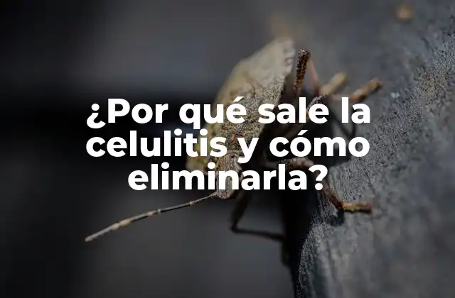¿por Qué Sale la Celulitis y Cómo Eliminarla?