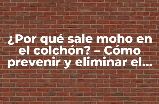 ¿por Qué Sale Moho en el Colchón? – Cómo Prevenir y Eliminar el Moho en Tu Colchón