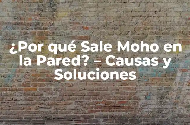 Causas del Crecimiento de Moho en las Paredes