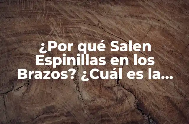 ¿por Qué Salen Espinillas en los Brazos? ¿cuál es la Causa?