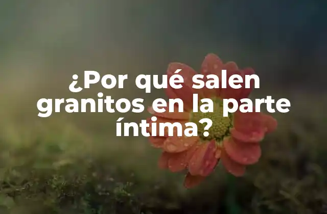 ¿Qué son los granitos en la parte íntima?