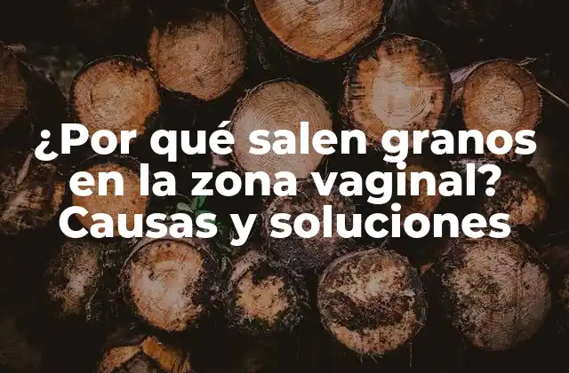¿por Qué Salen Granos en la Zona Vaginal? Causas y Soluciones
