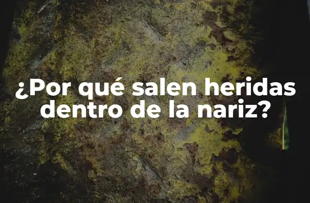 ¿por Qué Salen Heridas Dentro de la Nariz?
