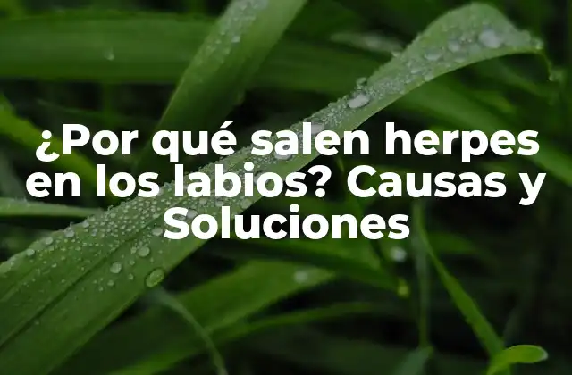 ¿por Qué Salen Herpes en los Labios? Causas y Soluciones