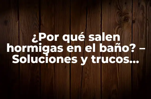 ¿por Qué Salen Hormigas en el Baño? – Soluciones y Trucos para Eliminarlas