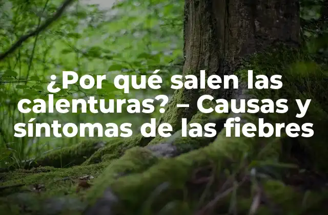 ¿por Qué Salen las Calenturas? – Causas y Síntomas de las Fiebres