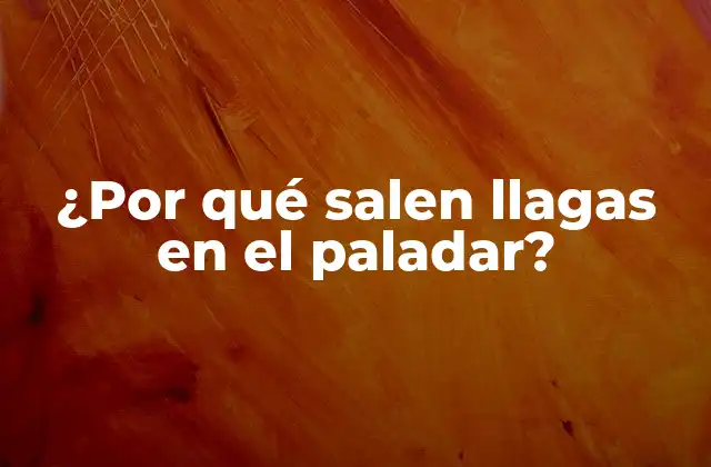 ¿por Qué Salen Llagas en el Paladar? 2 ¿Qué son las llagas en el paladar?
