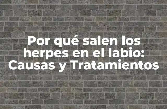 Por Qué Salen los Herpes en el Labio: Causas y Tratamientos