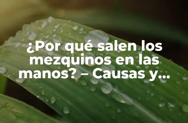 ¿por Qué Salen los Mezquinos en las Manos? – Causas y Tratamiento