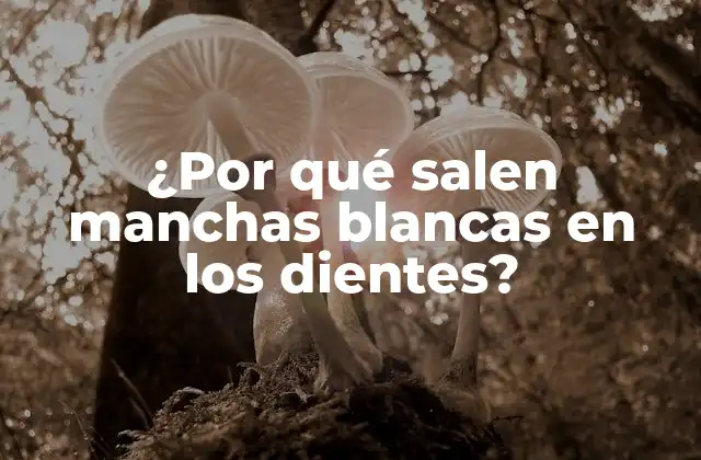 ¿Qué son las manchas blancas en los dientes?