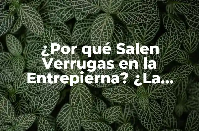 ¿por Qué Salen Verrugas en la Entrepierna? ¿la Verdad Detrás de Este Problema de Salud