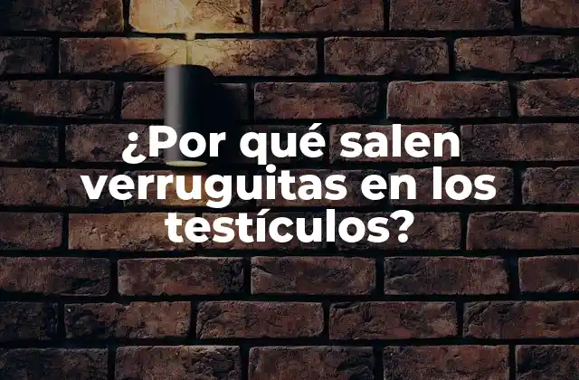 ¿por Qué Salen Verruguitas en los Testículos?