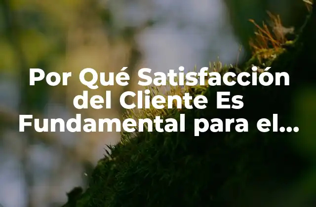 Por Qué Satisfacción Del Cliente es Fundamental para el Éxito Empresarial