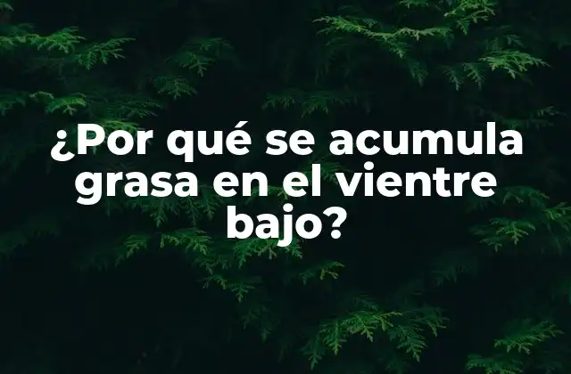 ¿por Qué Se Acumula Grasa en el Vientre Bajo?