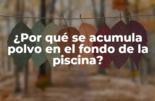 ¿por Qué Se Acumula Polvo en el Fondo de la Piscina? 2 Causas comunes de la acumulación de polvo en el fondo de la piscina