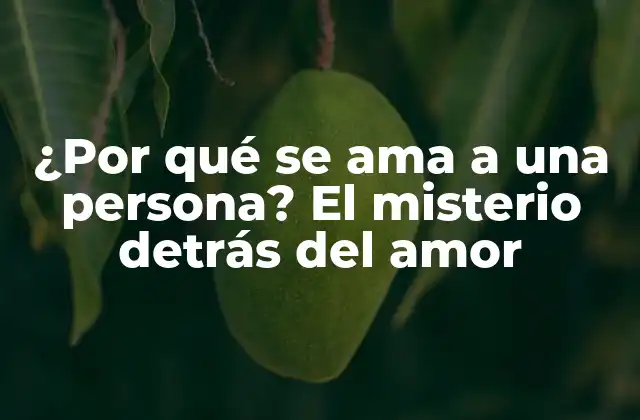 ¿por Qué Se Ama a una Persona? el Misterio Detrás Del Amor