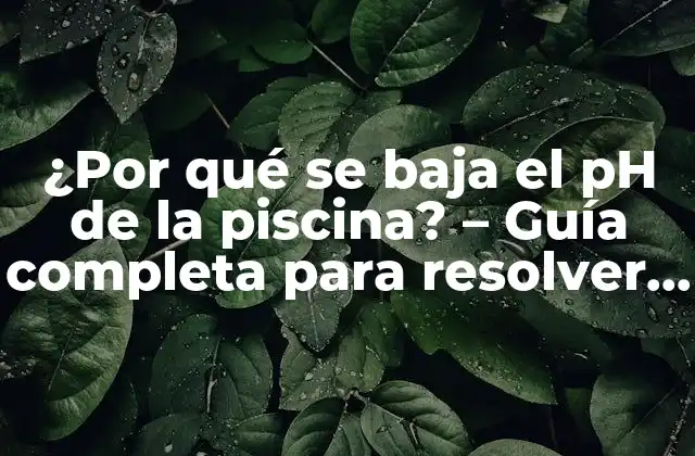 ¿por Qué Se Baja el Ph de la Piscina? – Guía Completa para Resolver el Problema