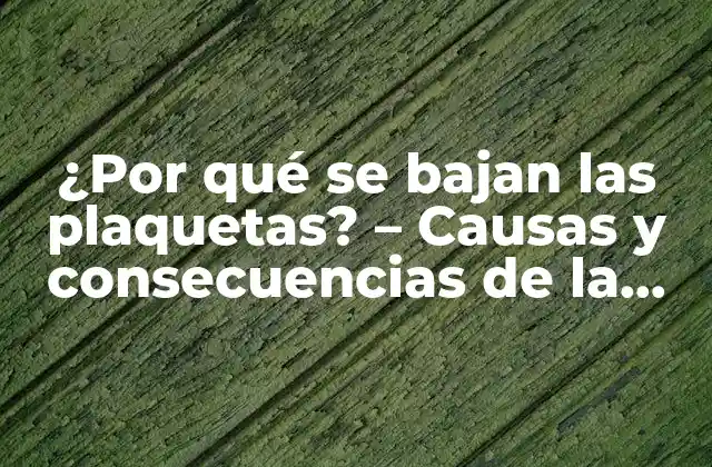 ¿por Qué Se Bajan las Plaquetas? – Causas y Consecuencias de la Trombocitopenia