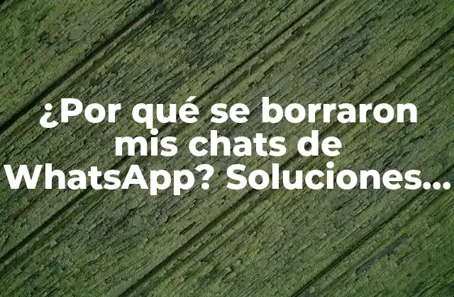 ¿por Qué Se Borraron Mis Chats de Whatsapp? Soluciones y Explicaciones