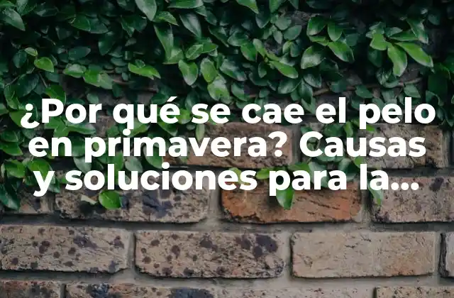¿por Qué Se Cae el Pelo en Primavera? Causas y Soluciones para la Caída Del Cabello Estacional