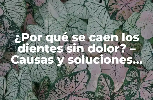 ¿por Qué Se Caen los Dientes sin Dolor? – Causas y Soluciones Explicadas