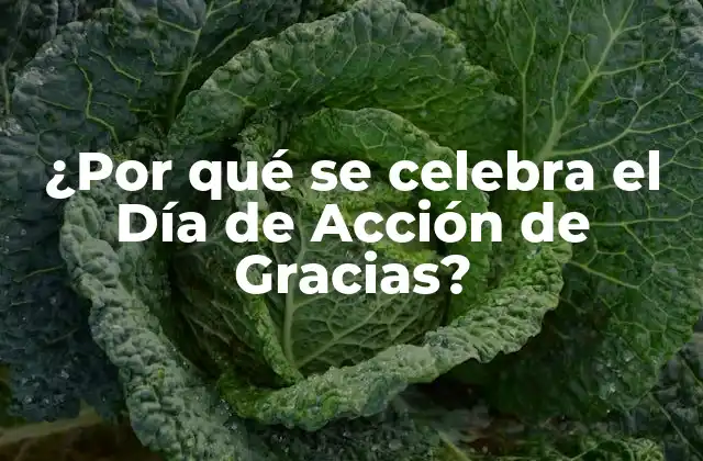 ¿por Qué Se Celebra el Día de Acción de Gracias?