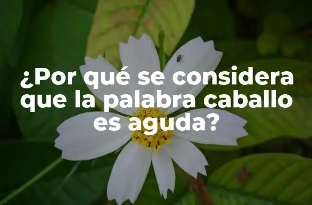 ¿por Qué Se Considera que la Palabra Caballo es Aguda?