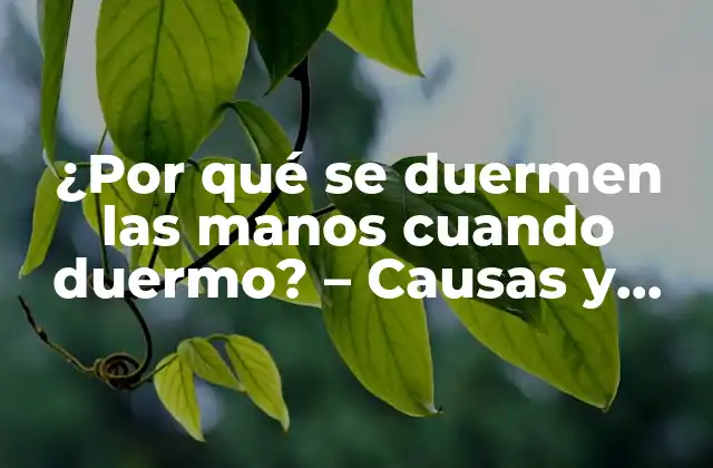 ¿por Qué Se Duermen las Manos Cuando Duermo? – Causas y Soluciones