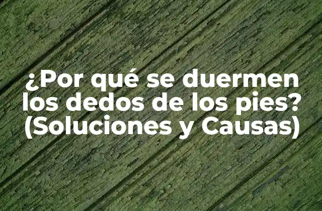 ¿por Qué Se Duermen los Dedos de los Pies? (soluciones y Causas)