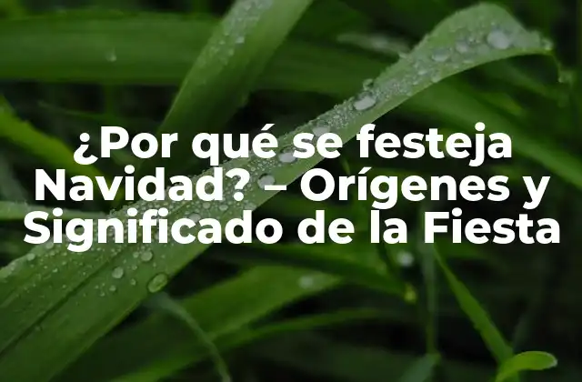 ¿por Qué Se Festeja Navidad? – Orígenes y Significado de la Fiesta