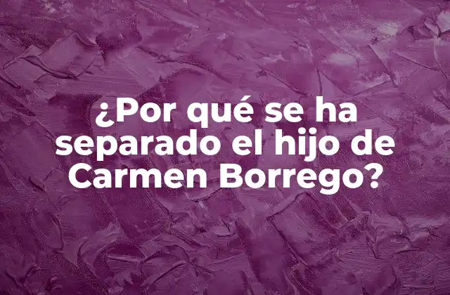 ¿por Qué Se Ha Separado el Hijo de Carmen Borrego?