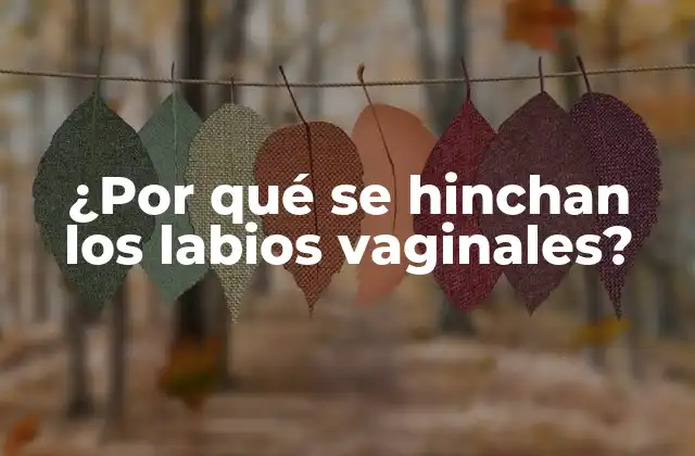 ¿por Qué Se Hinchan los Labios Vaginales?